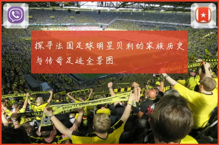 探寻法国足球明星贝利的家族历史与传奇足迹全景图