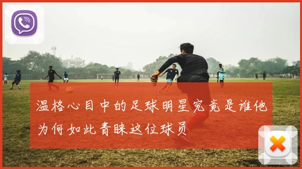 温格心目中的足球明星究竟是谁他为何如此青睐这位球员