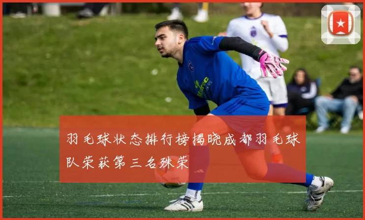 羽毛球状态排行榜揭晓成都羽毛球队荣获第三名殊荣