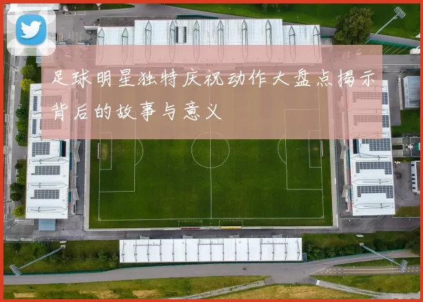 足球明星独特庆祝动作大盘点揭示背后的故事与意义