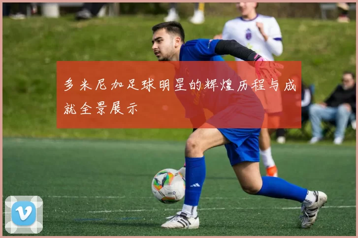 多米尼加足球明星的辉煌历程与成就全景展示