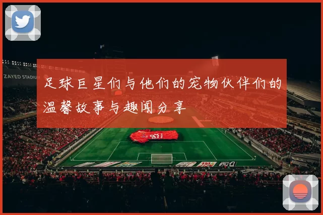 足球巨星们与他们的宠物伙伴们的温馨故事与趣闻分享