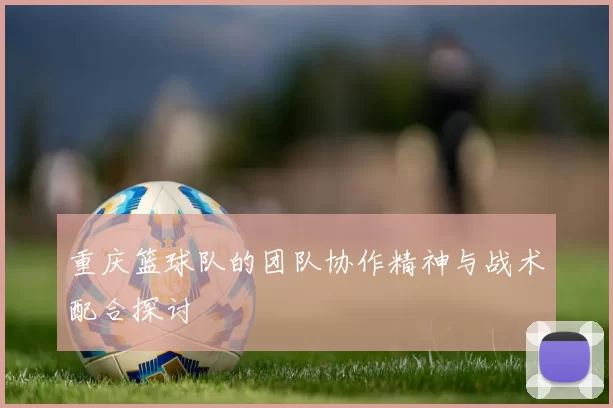 重庆篮球队的团队协作精神与战术配合探讨