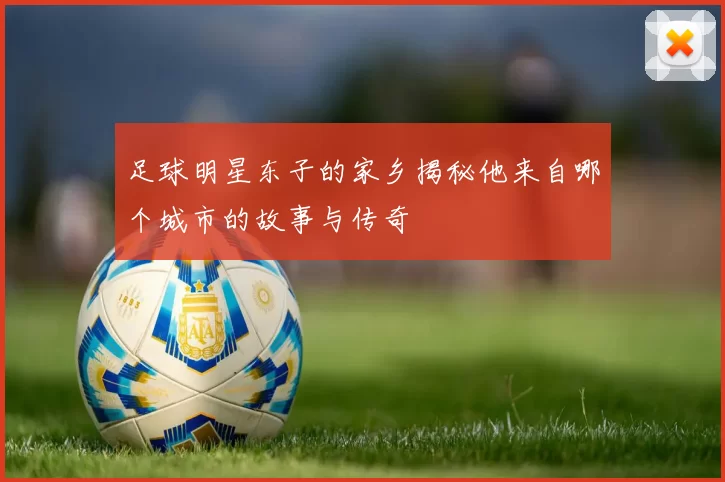 足球明星东子的家乡揭秘他来自哪个城市的故事与传奇