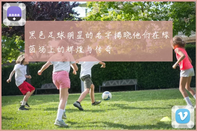 黑色足球明星的名字揭晓他们在绿茵场上的辉煌与传奇