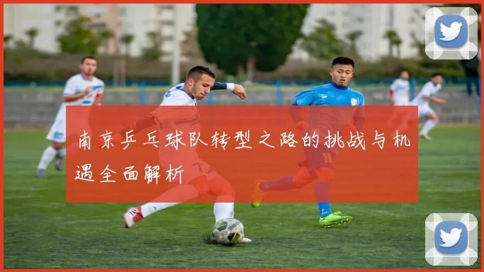 南京乒乓球队转型之路的挑战与机遇全面解析