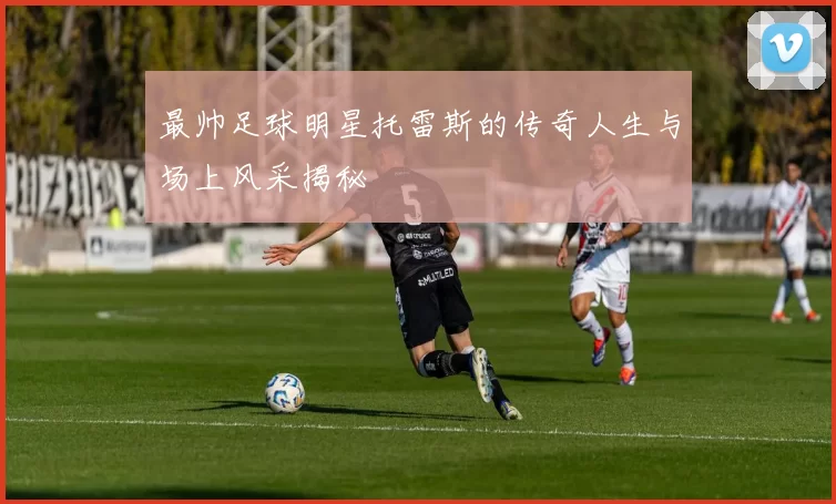 最帅足球明星托雷斯的传奇人生与场上风采揭秘