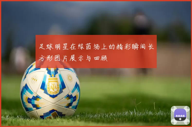 足球明星在绿茵场上的精彩瞬间长方形图片展示与回顾