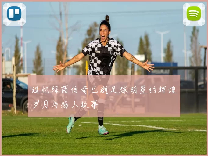 追忆绿茵传奇已逝足球明星的辉煌岁月与感人故事