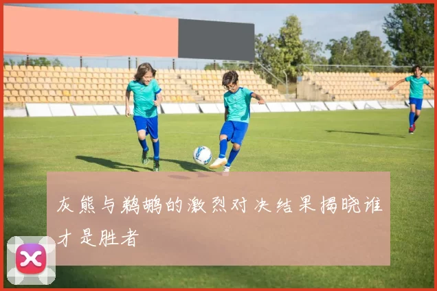 灰熊与鹈鹕的激烈对决结果揭晓谁才是胜者