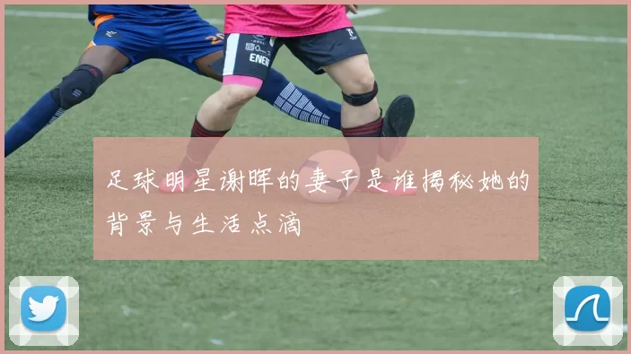 足球明星谢晖的妻子是谁揭秘她的背景与生活点滴