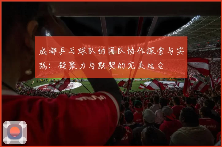 成都乒乓球队的团队协作探索与实践：凝聚力与默契的完美结合